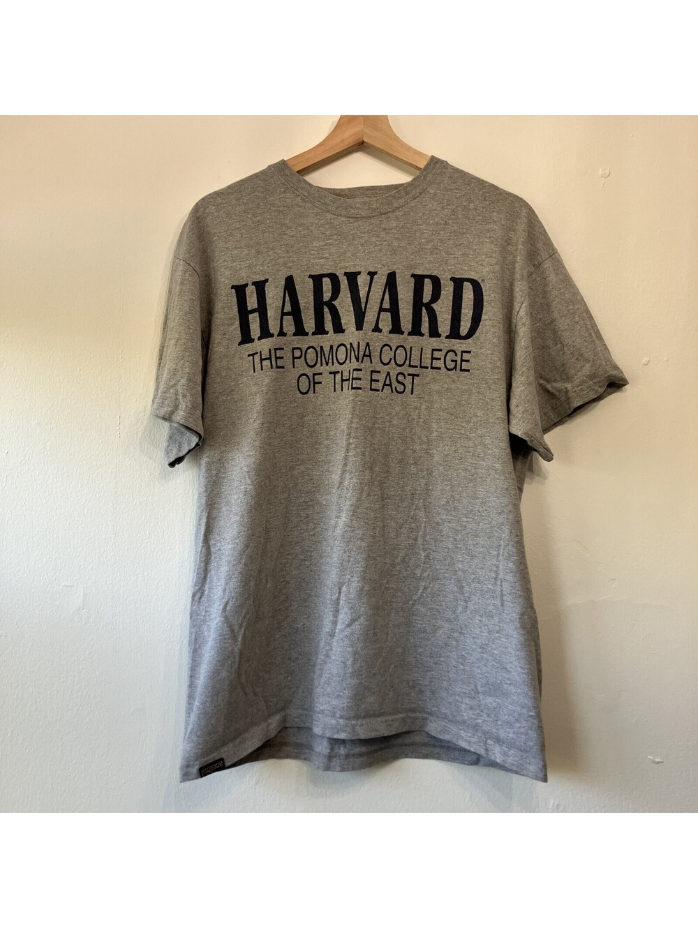 Vintage Harvard The Pomona College of the East Tee Jansport Large T Shirt